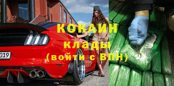 стаф Абинск