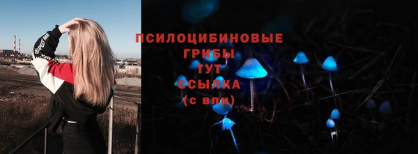 гидропоника Абдулино