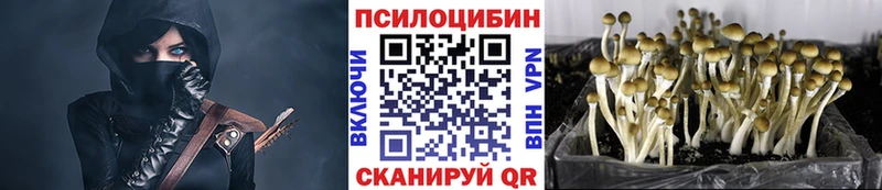Галлюциногенные грибы Magic Shrooms Дальнереченск
